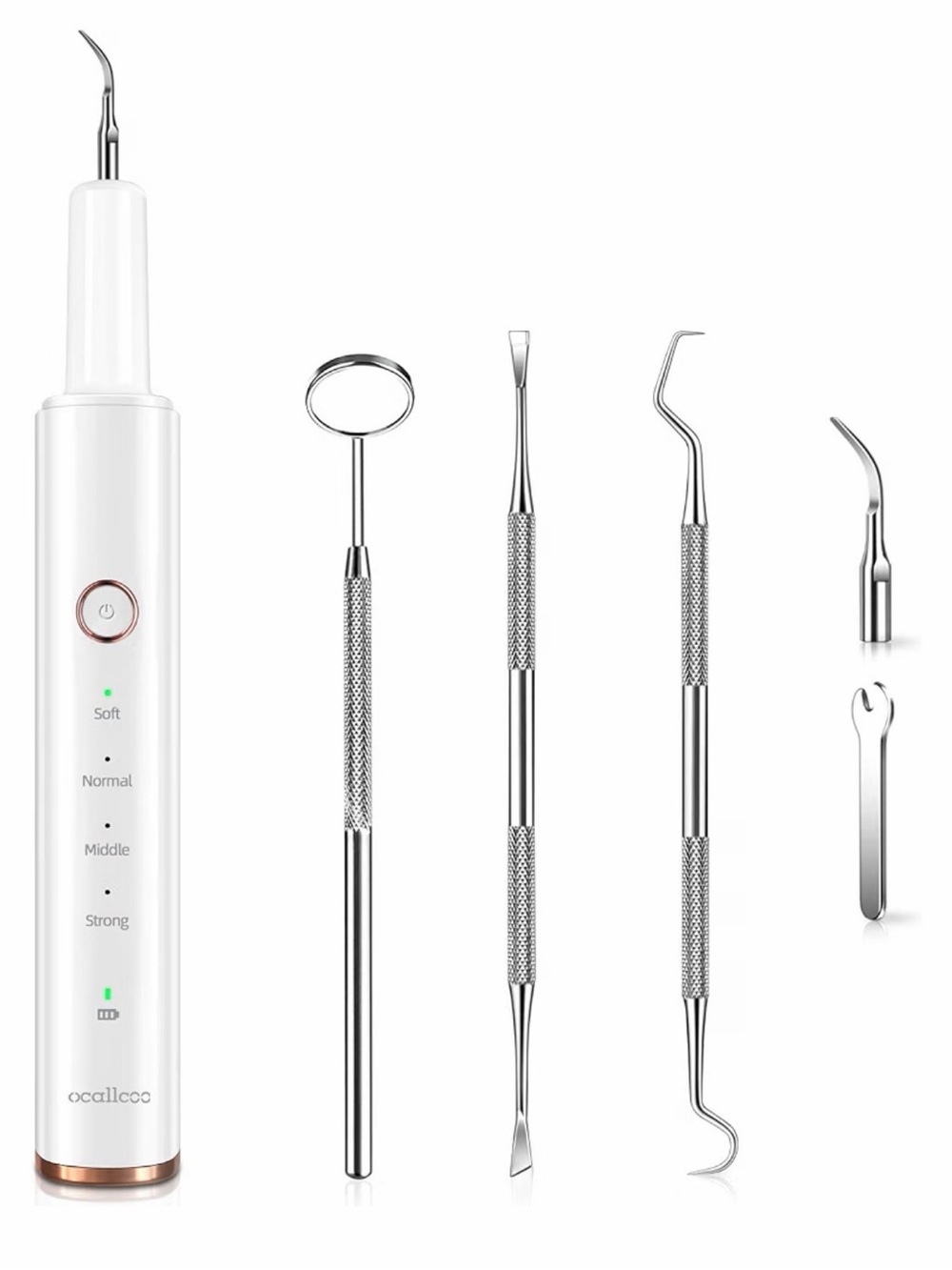 White Oral Irrigator and Stainless Steel Dental Tool Kit